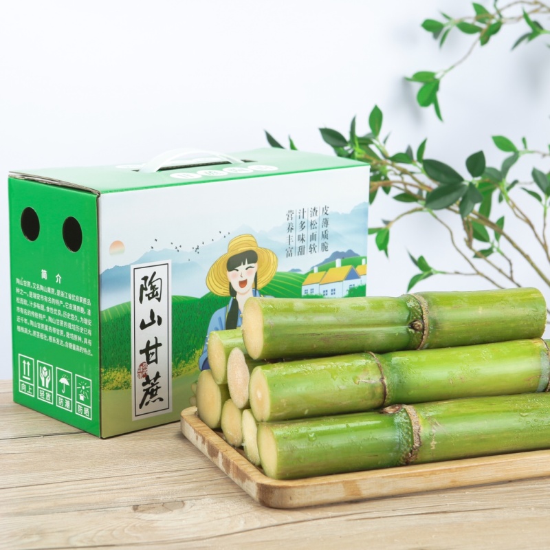 陶山甘蔗陶山果蔗绿皮果蔗手撕甘蔗自产青皮甘蔗