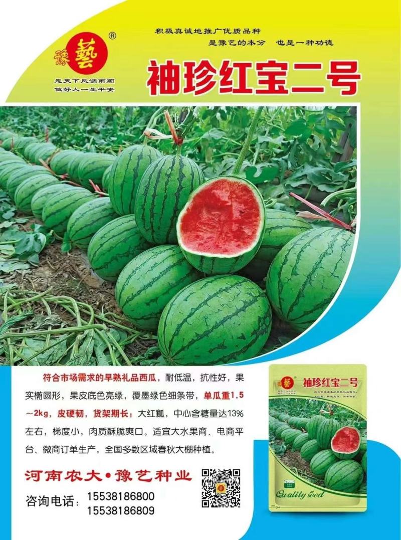 豫艺种业袖珍红宝二号西瓜种子小吊瓜红瓤小西瓜