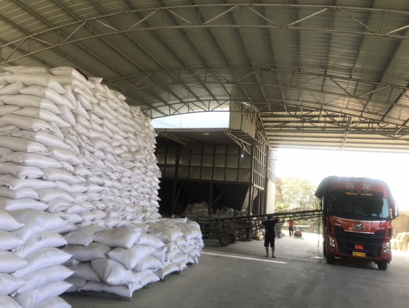 压缩稻壳种植土培基质养殖垫料蓬松透气吸附性好