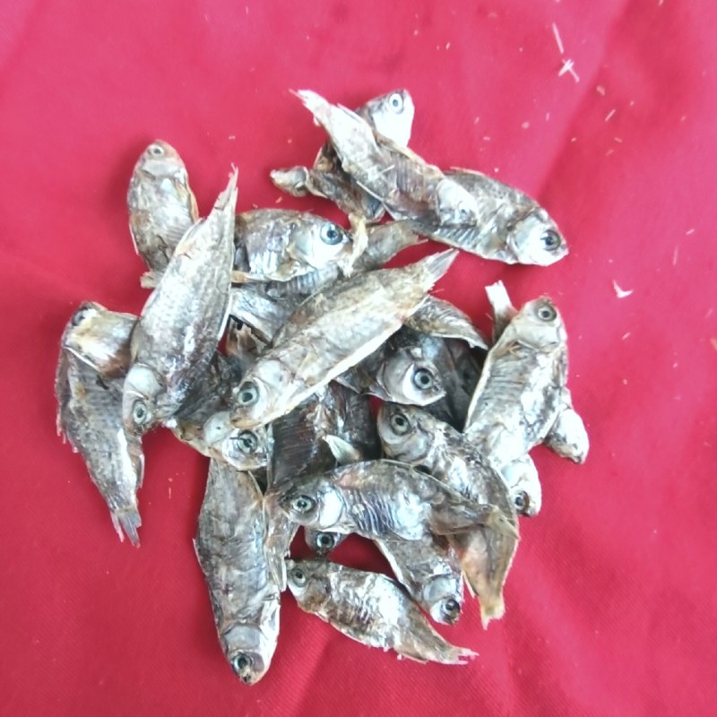 生晒3一6公分小鲫鱼干宠物饲料龟饲料第一手货源