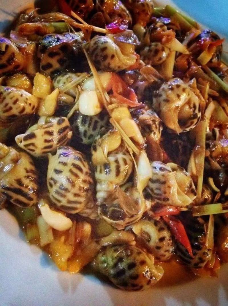 东风螺，花螺，无沙，50/50头肉质鲜美，可生腌多种做法