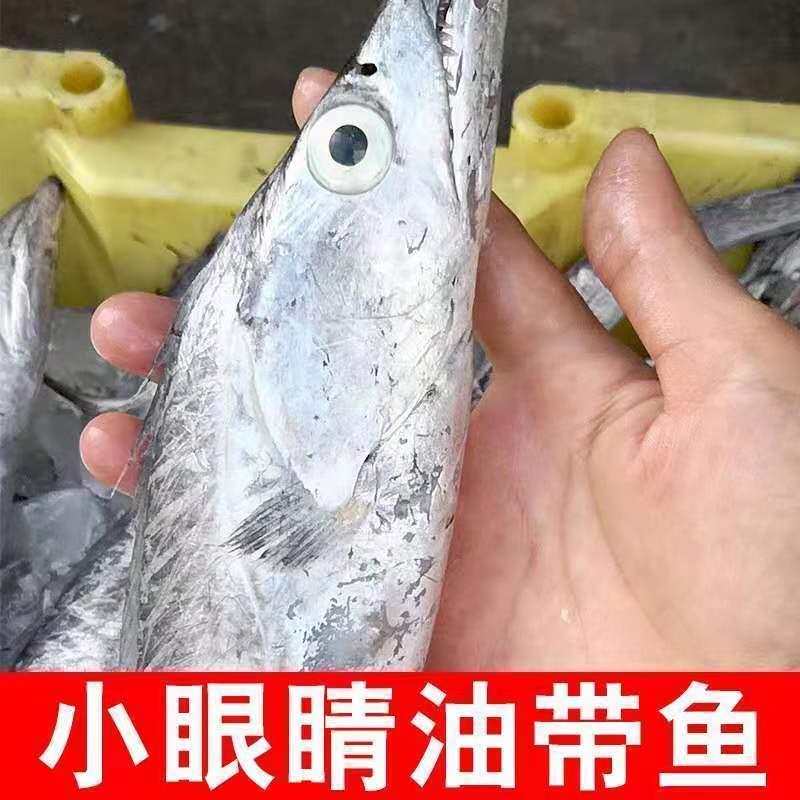 开海新货舟山小眼油带鱼
