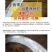 开海新货舟山小眼油带鱼