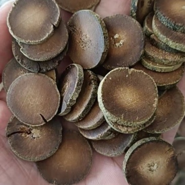 正宗化州化橘红批发零售全国(2.2cm-2.4cm)