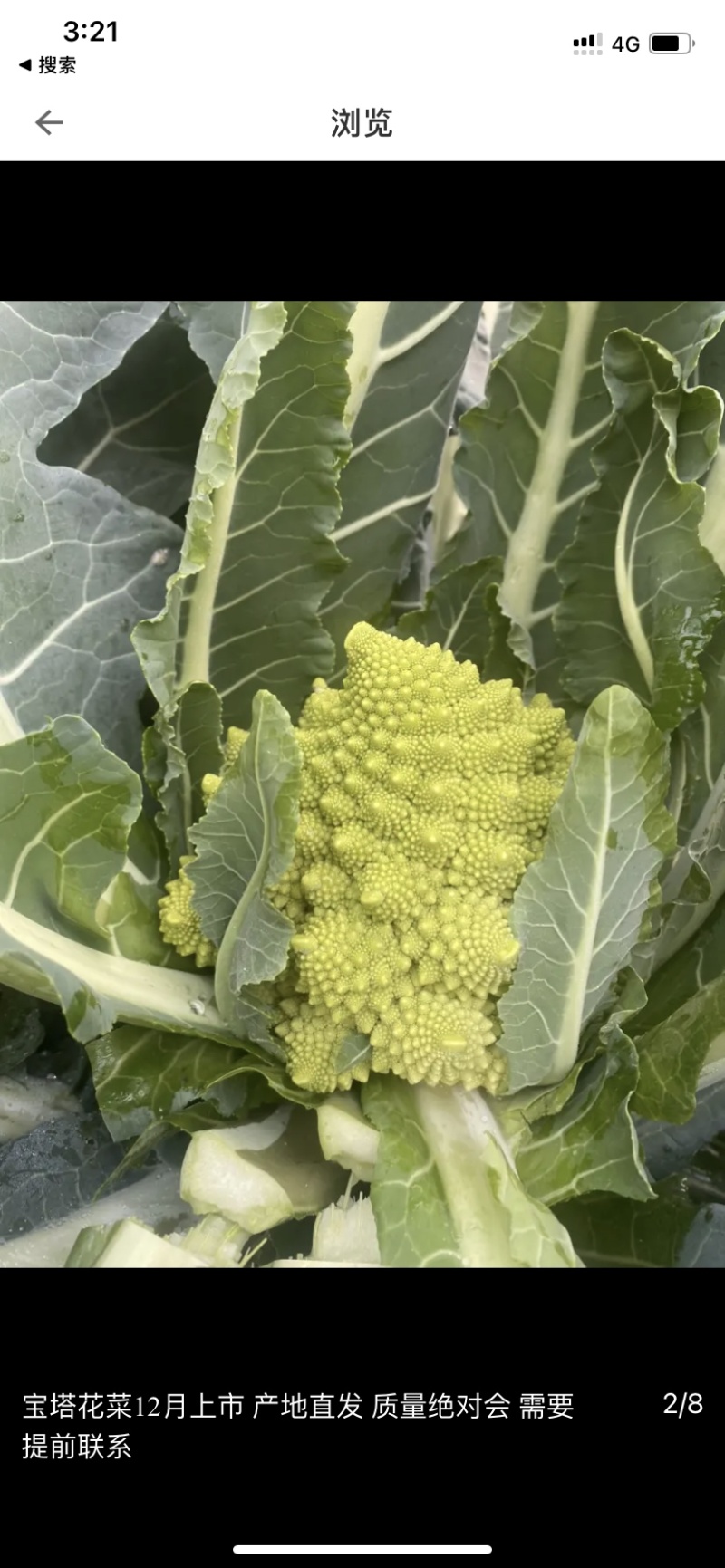 宝塔菜花
