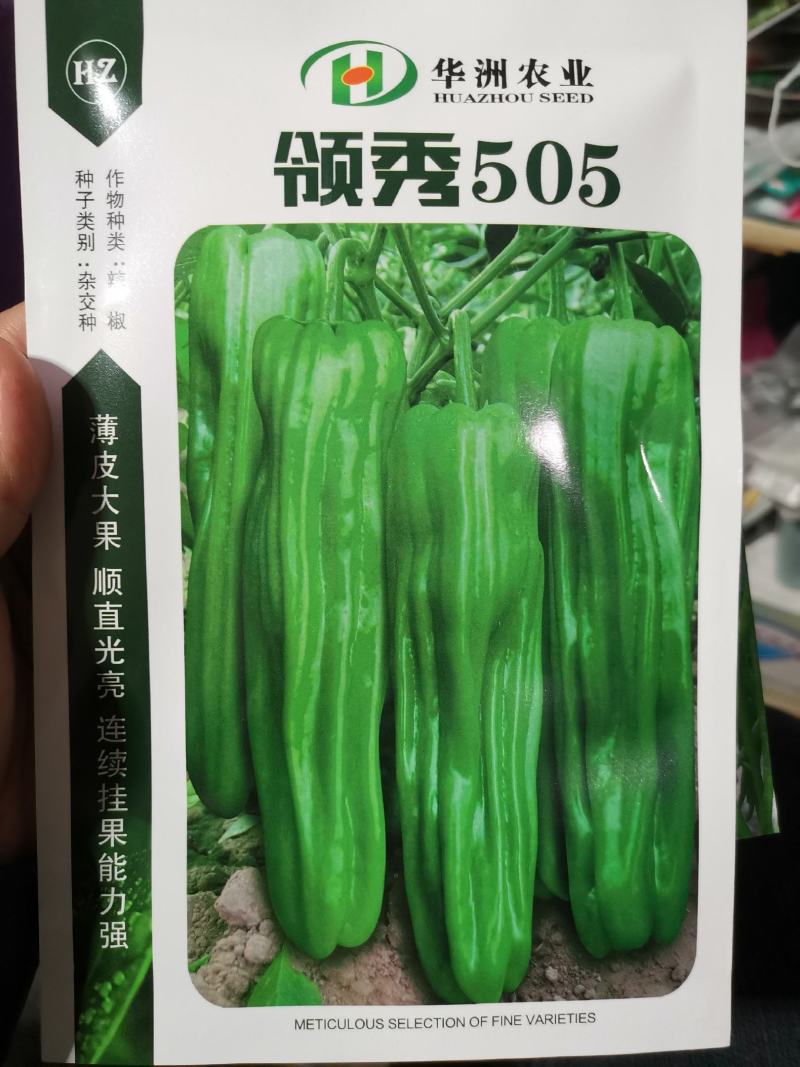 薄皮牛角椒辣椒种子超大抗病高产品质好好上市