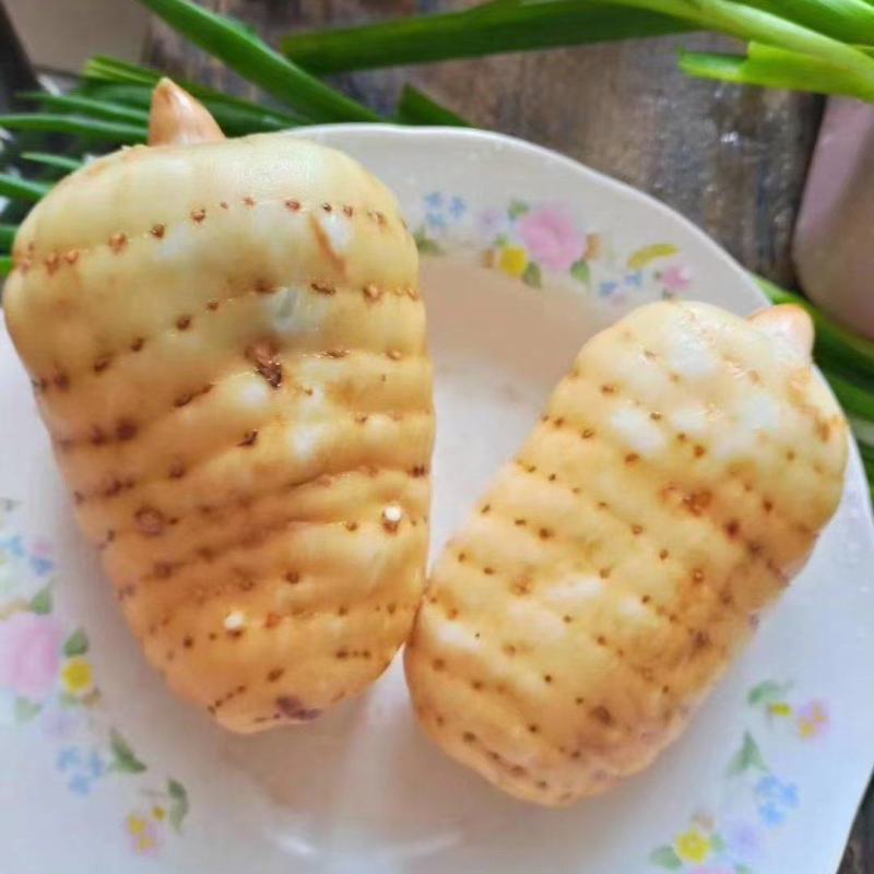 小草坝天麻