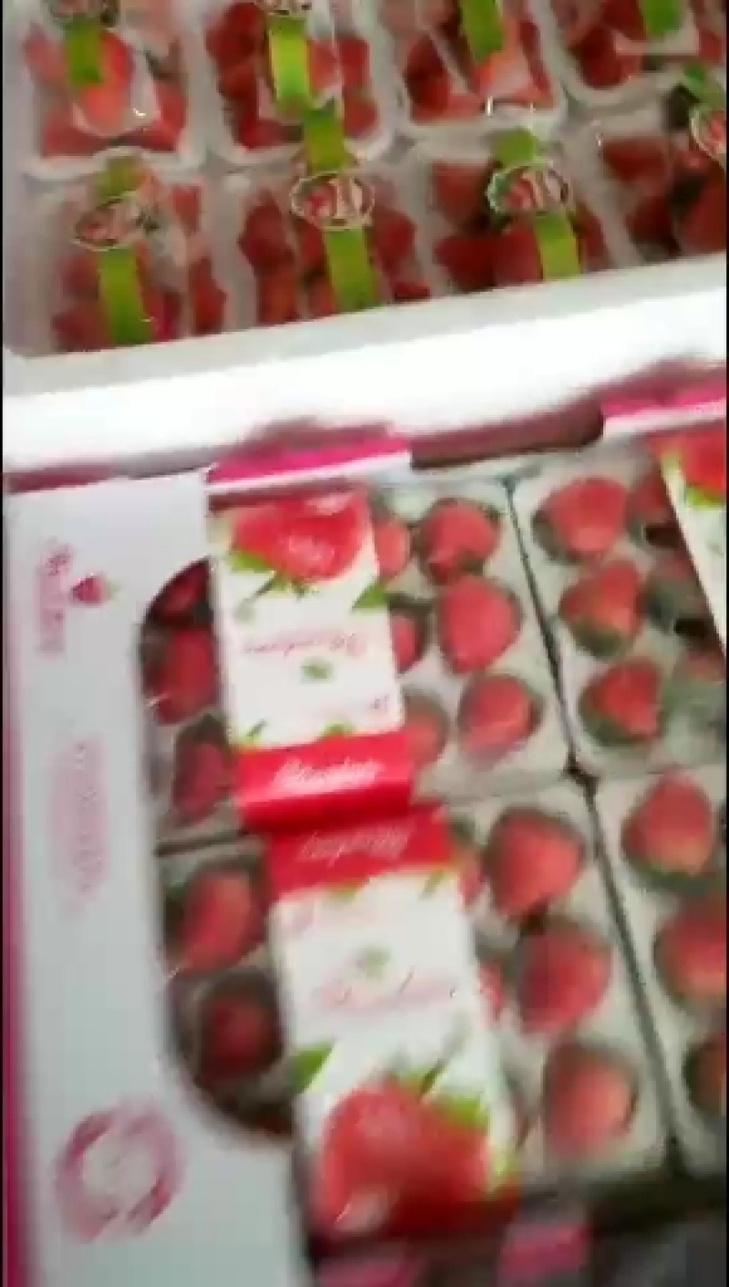 草莓