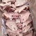 全熟羊头肉，国产白头，干净无毛