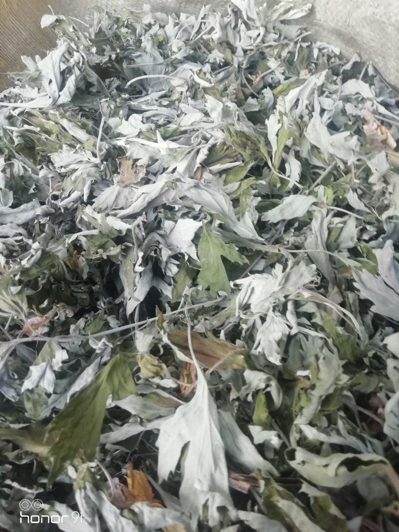 艾叶，纯艾叶野生干品现货，支持线上交易