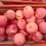 高次果，陕西省洛川红富士苹果