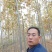 法桐树，法桐树哪里有，3～10公分法桐哪里有