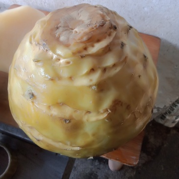 腌苤蓝