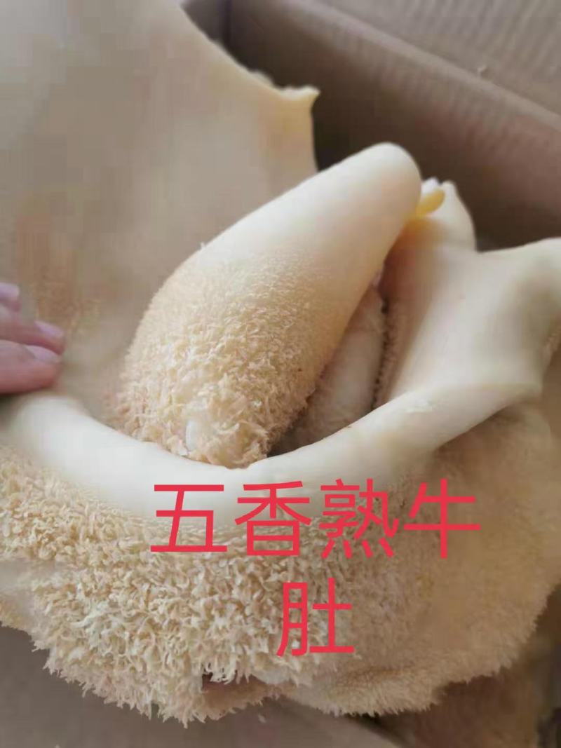 【实力推荐】熟牛肚五香熟牛肚，现煮提前一天订货！质量好！