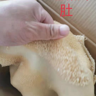 【实力推荐】熟牛肚五香熟牛肚，现煮提前一天订货！质量好！