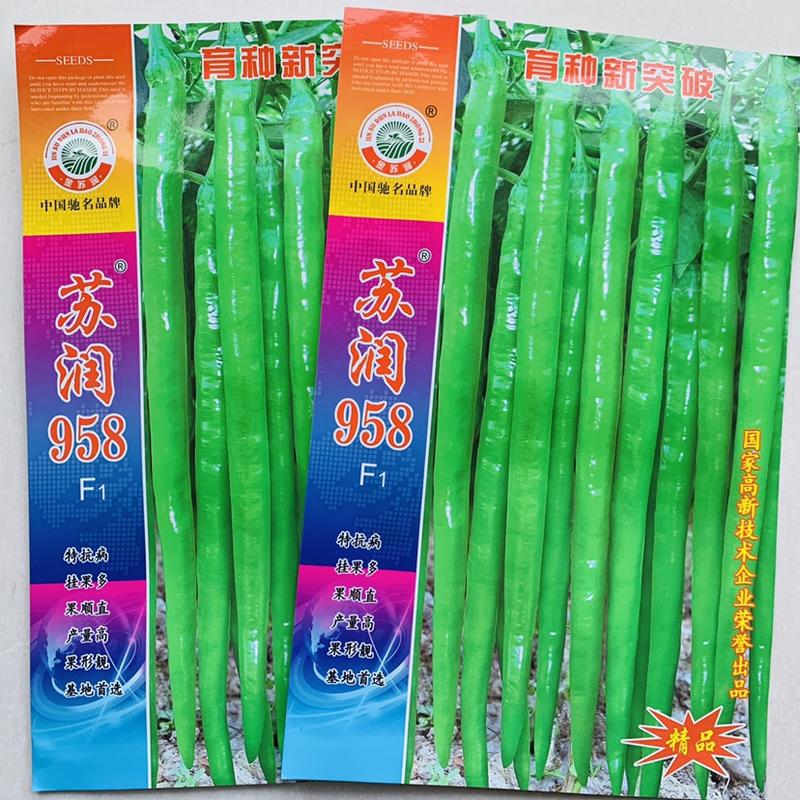 基地专用辣椒种子苏润958绿色特长果线椒种子特高产抗病