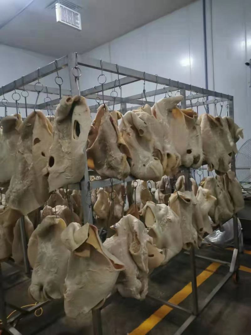 【实力推荐】熟牛肚五香熟牛肚，现煮提前一天订货！质量好！