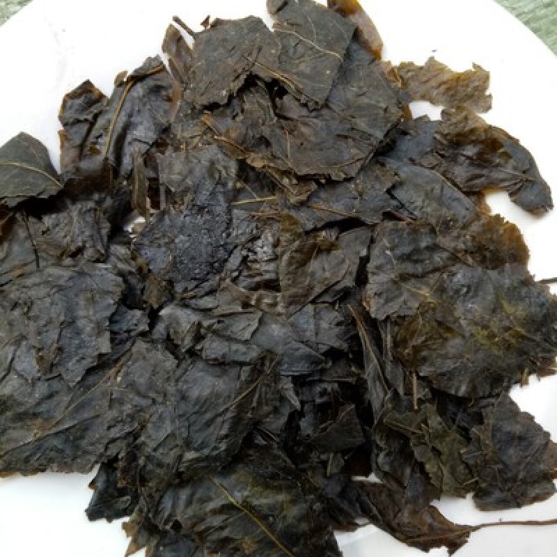 新鲜天然野生中药材云南大叶苦丁茶毛冬青茶苦甘叶