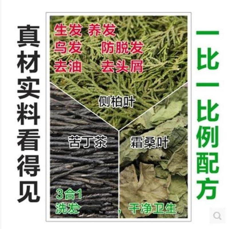 新鲜天然野生中药材云南大叶苦丁茶毛冬青茶苦甘叶