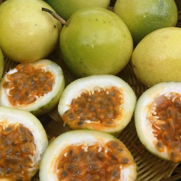 黄金百香果