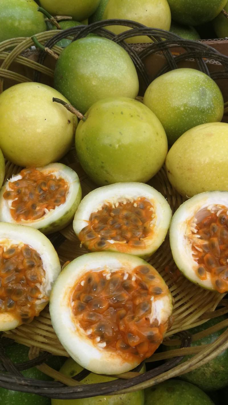 黄金百香果