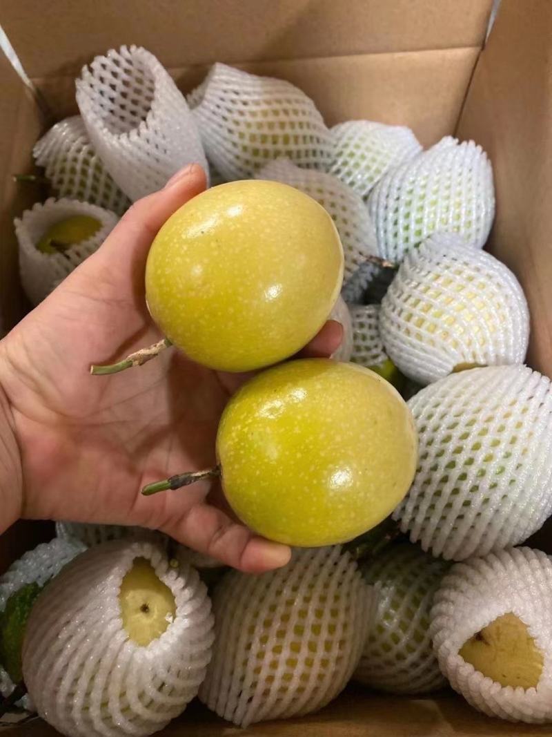 黄金百香果