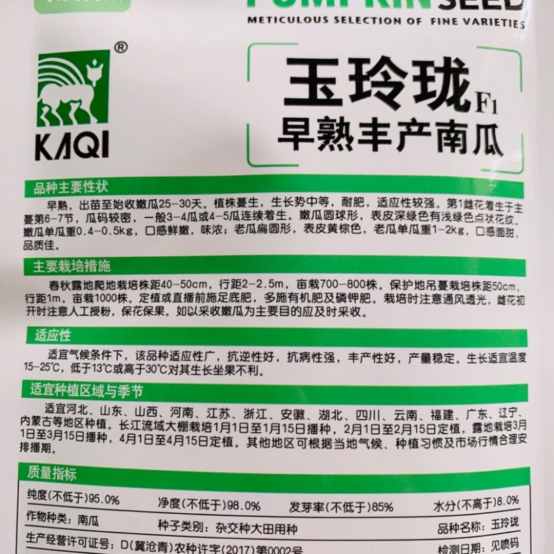 卡其玉玲珑一串铃南瓜种子嫩瓜绿色早熟嫩南瓜籽种
