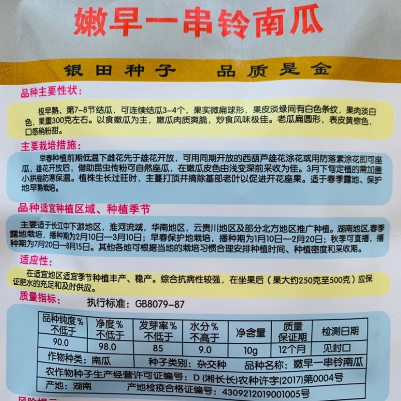 嫩早一串铃嫩南瓜种子果实微扁球形一串玲南瓜种籽嫩瓜爽脆