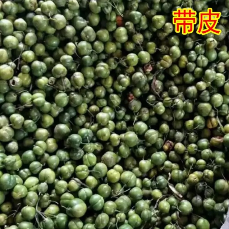 黄精种子鸡头黄精新鲜黄精药材种子
