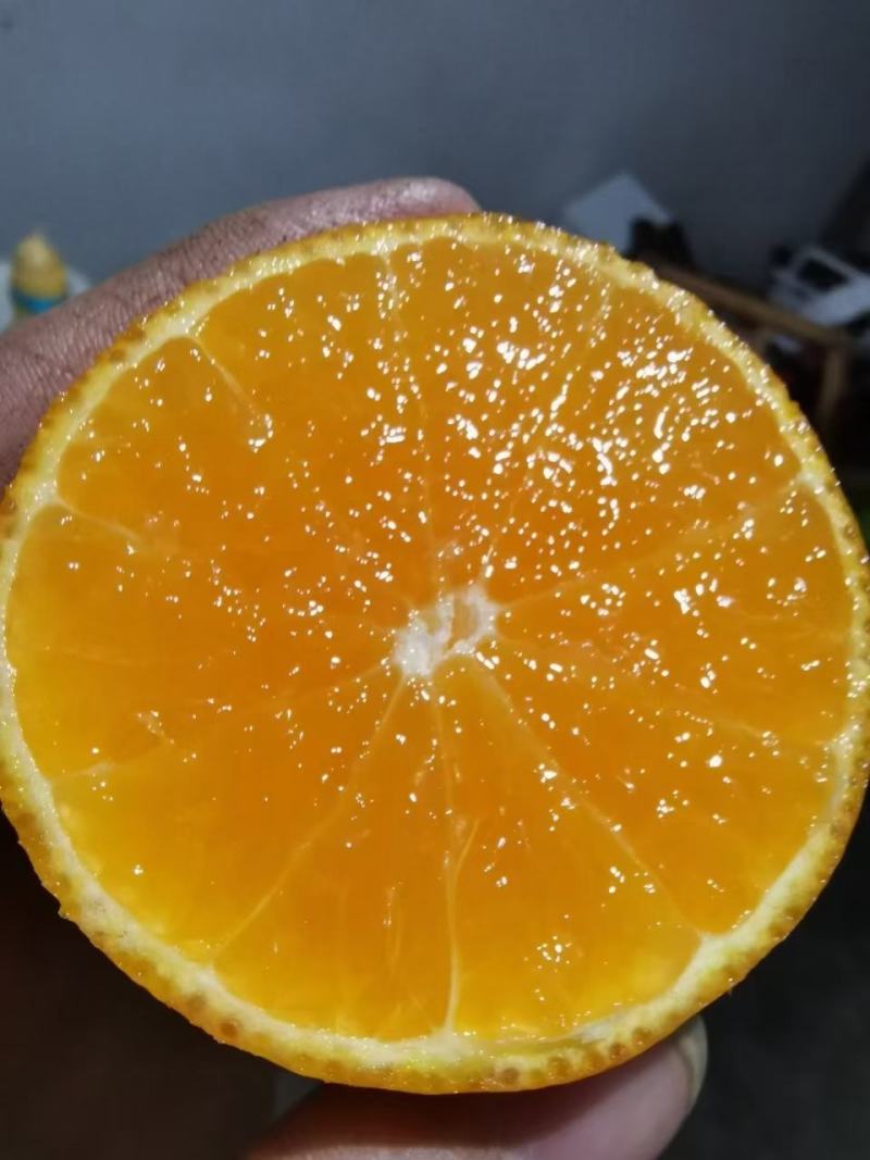 爱缓橙九月红，纽荷尔，长虹，血橙自家果园无中间商。