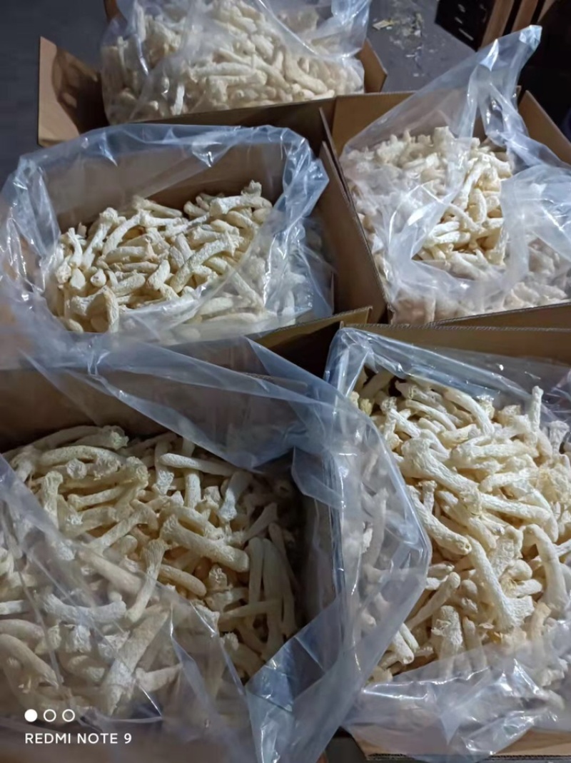 竹荪杆，竹荪管，长裙竹荪梗，竹荪干货，餐饮款