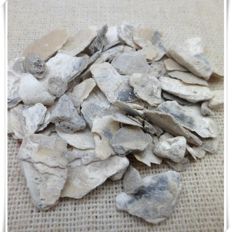 牡蛎中药材牡蛎壳牡蛎片生牡蛎正品包邮