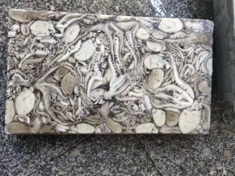 八爪鱼原浆八爪鱼不泡水八爪鱼原料八爪鱼八爪