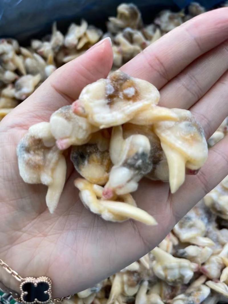 切蟹厂家一手货源加工有量的老板们来合作量大从优