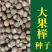 大果叶榉树种子小叶榉树圆齿鸡油树抱树赤肚榆红榉树种子园林