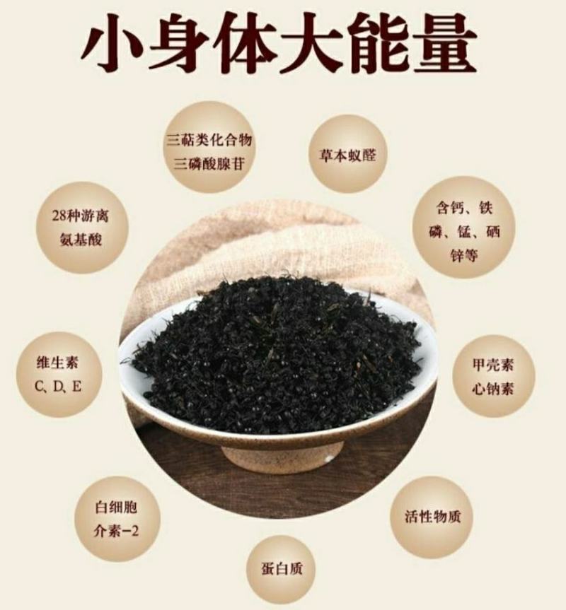 长白山黑蚂蚁中药材泡酒煲汤养生营养丰富（干货包邮）