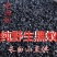 长白山黑蚂蚁中药材泡酒煲汤养生营养丰富（干货包邮）
