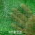 农业环保绿色盖土网6针遮阳网工地用黑色绿色覆盖网防尘网