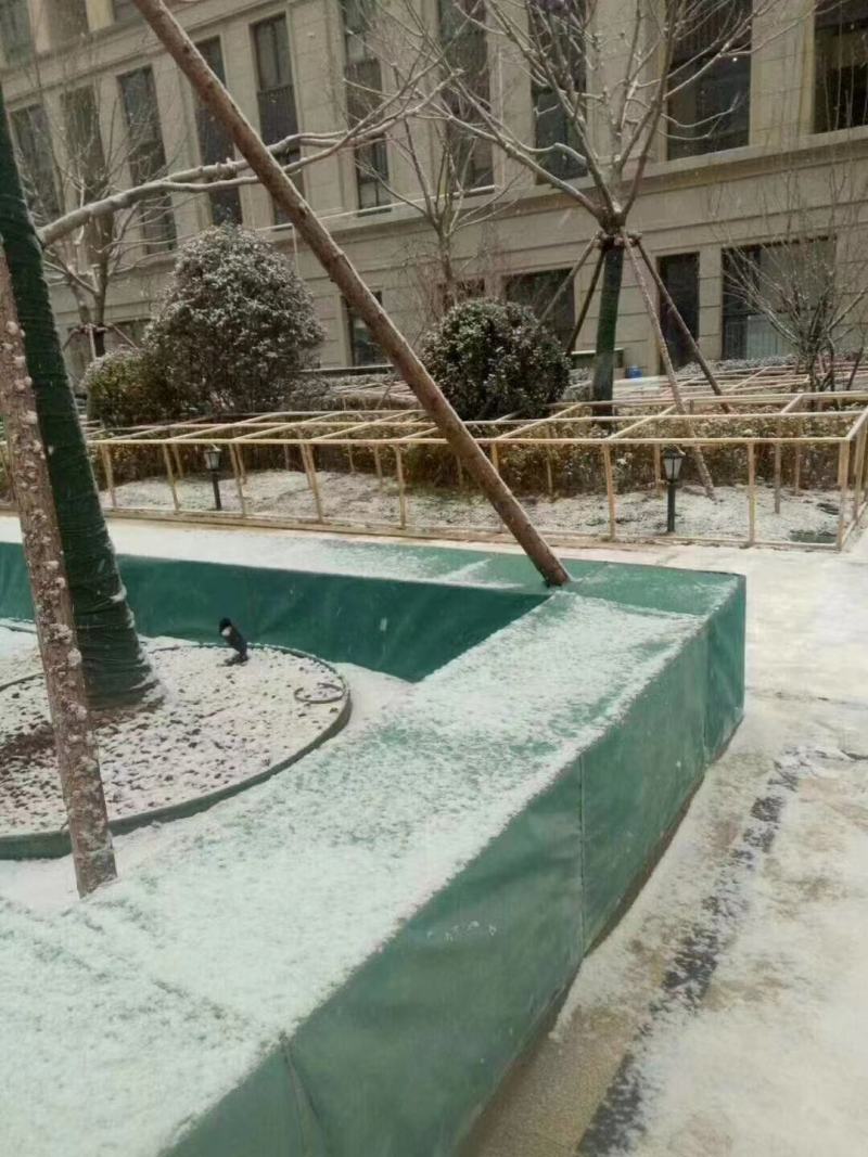 绿色裹树防寒布园林绿化保湿复膜裹树布无纺布