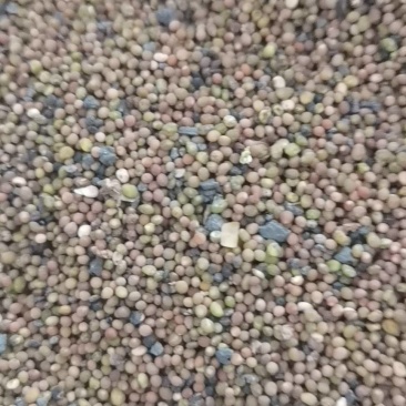 菟丝子大量有货，全国批发，是一种很好的补品