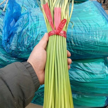 蒜薹