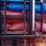 2025年甜过初恋，迁西313板栗甜香糯，营养价值高
