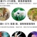 养殖饲料鱼粉进口鱼粉国产脱脂鱼粉高蛋白钙微量元素