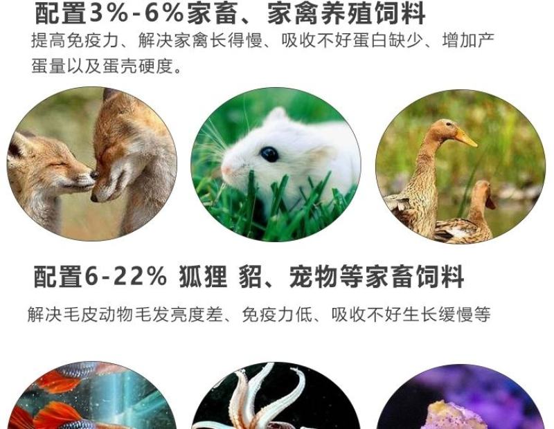 养殖饲料鱼粉进口鱼粉国产脱脂鱼粉高蛋白钙微量元素