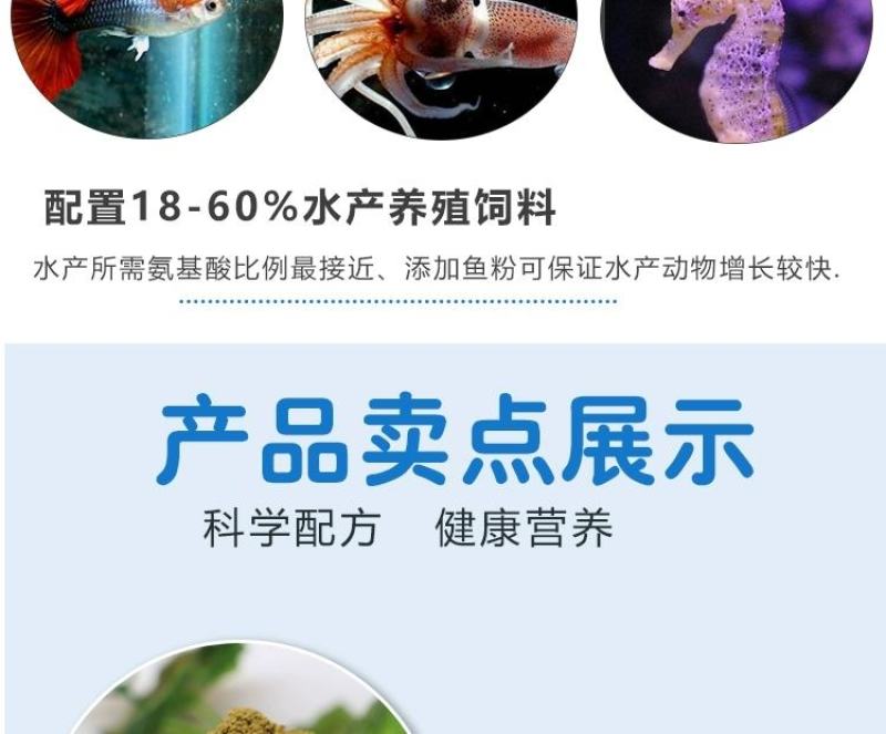 养殖饲料鱼粉进口鱼粉国产脱脂鱼粉高蛋白钙微量元素