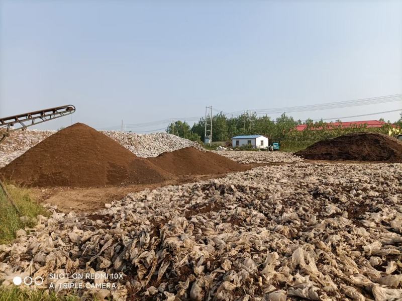 菌渣发酵菌渣菌渣有机肥原料改良土壤基地直发