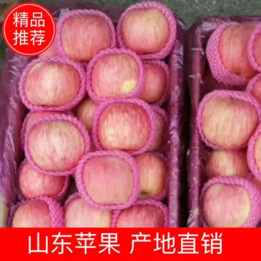 条纹水晶富士苹果80mm以上手选果口感脆甜！代收代发代存