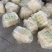 龙口粉丝原产地厂家，绿豆粉豌豆粉丝杂粮粉