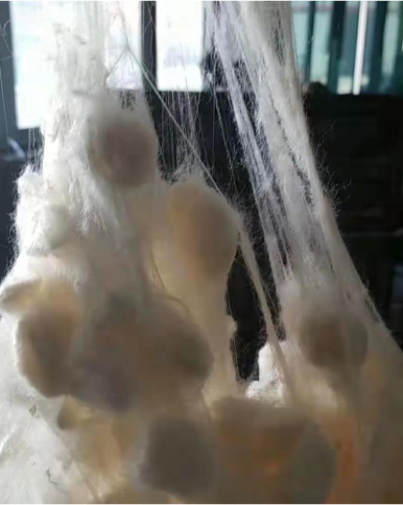 纯柞蚕丝光胎，成品，不是蚕丝壳，容易加工，产地批发