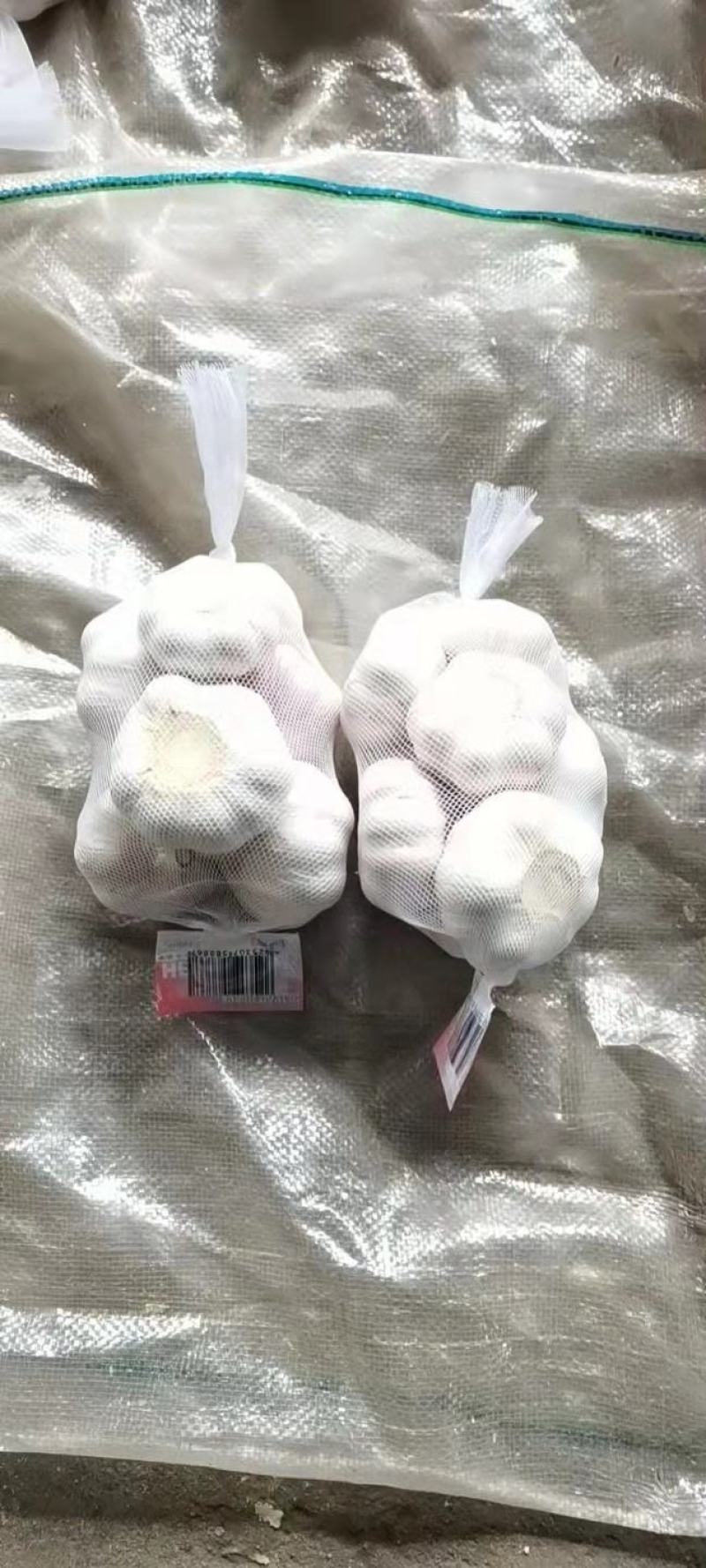 金乡大蒜山东大蒜高品质出口内销加工
